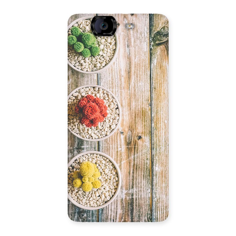 Cacti Decor Back Case for Canvas Knight A350