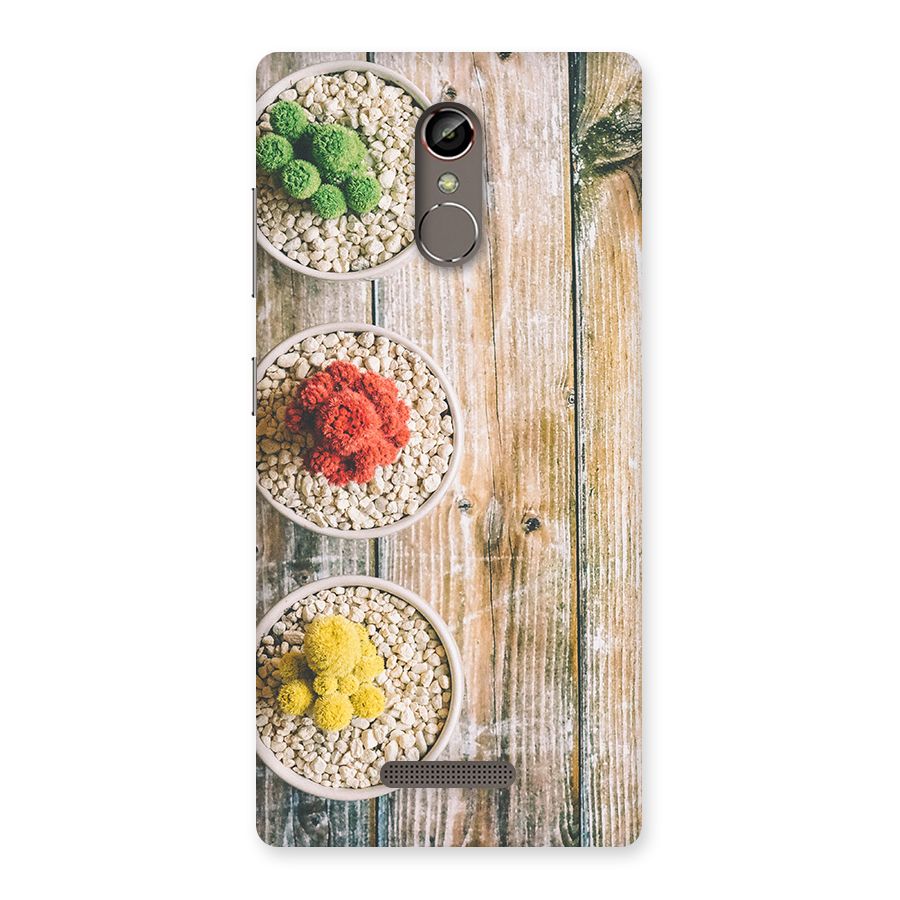 Cacti Decor Back Case for Gionee S6s
