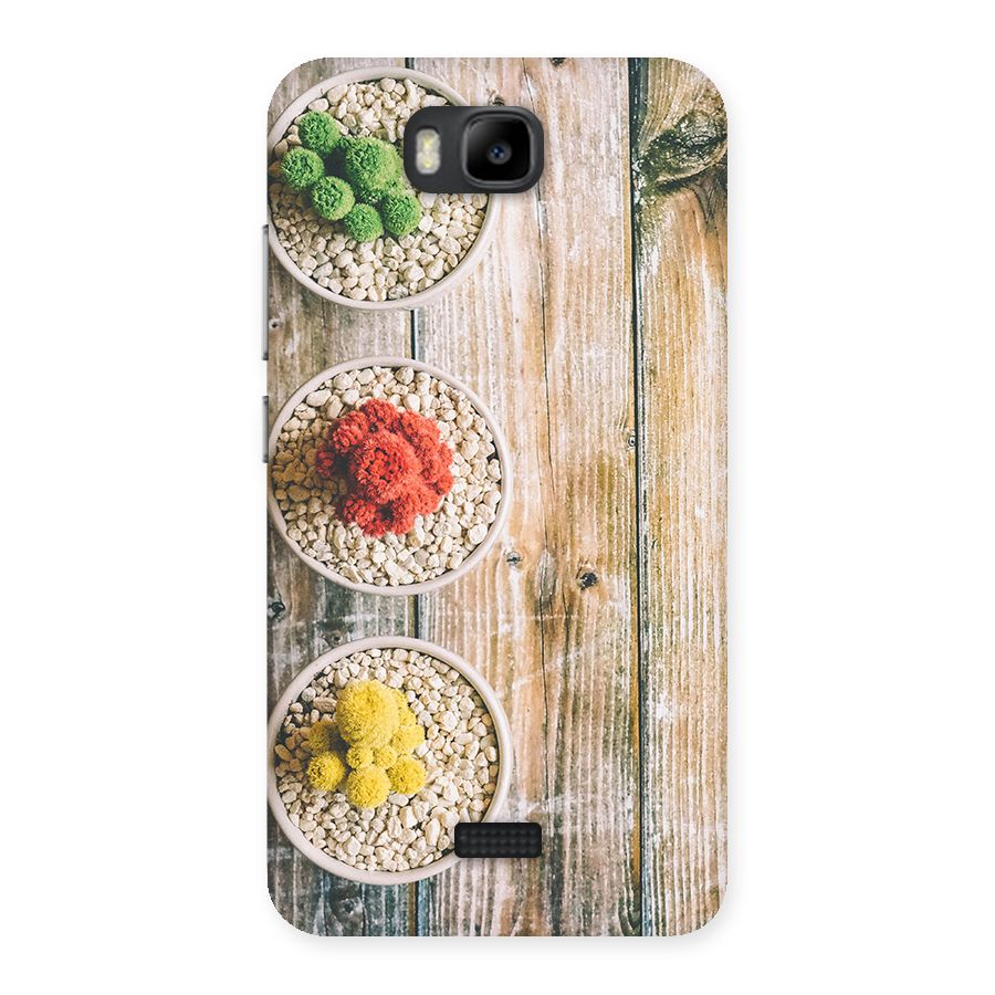 Cacti Decor Back Case for Honor Bee