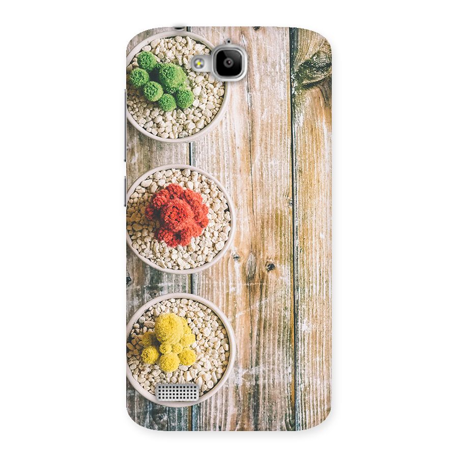 Cacti Decor Back Case for Honor Holly