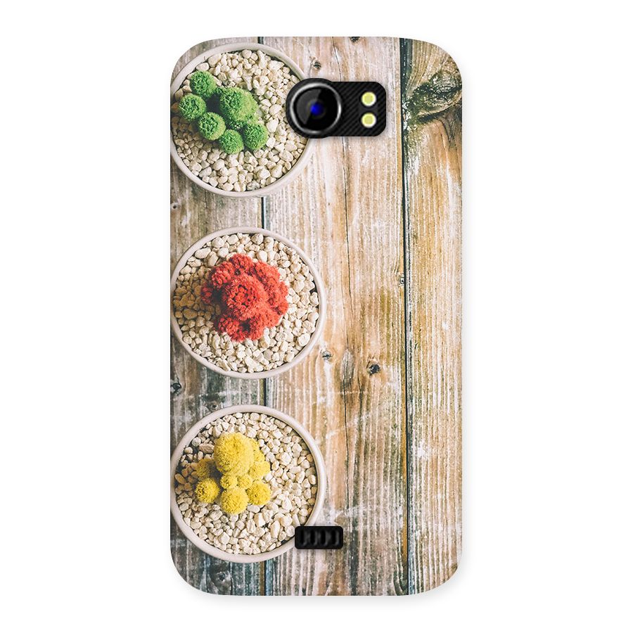 Cacti Decor Back Case for Micromax Canvas 2 A110