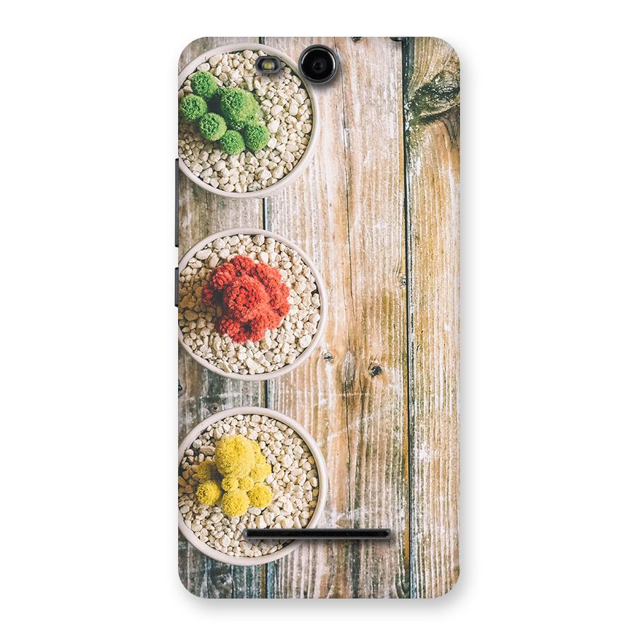 Cacti Decor Back Case for Micromax Canvas Juice 3 Q392