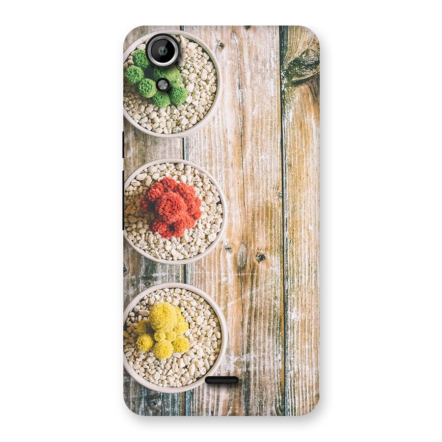 Cacti Decor Back Case for Micromax Canvas Selfie Lens Q345