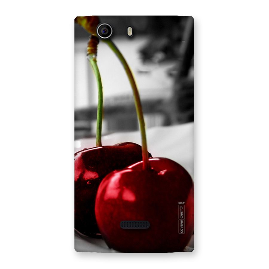 Cherry Photography Back Case for Canvas Nitro 2 E311