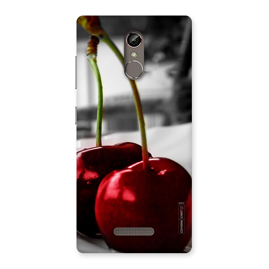 Cherry Photography Back Case for Gionee S6s
