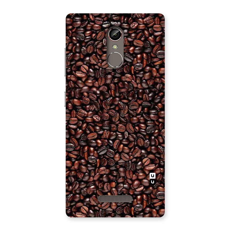 Cocoa Beans Back Case for Gionee S6s