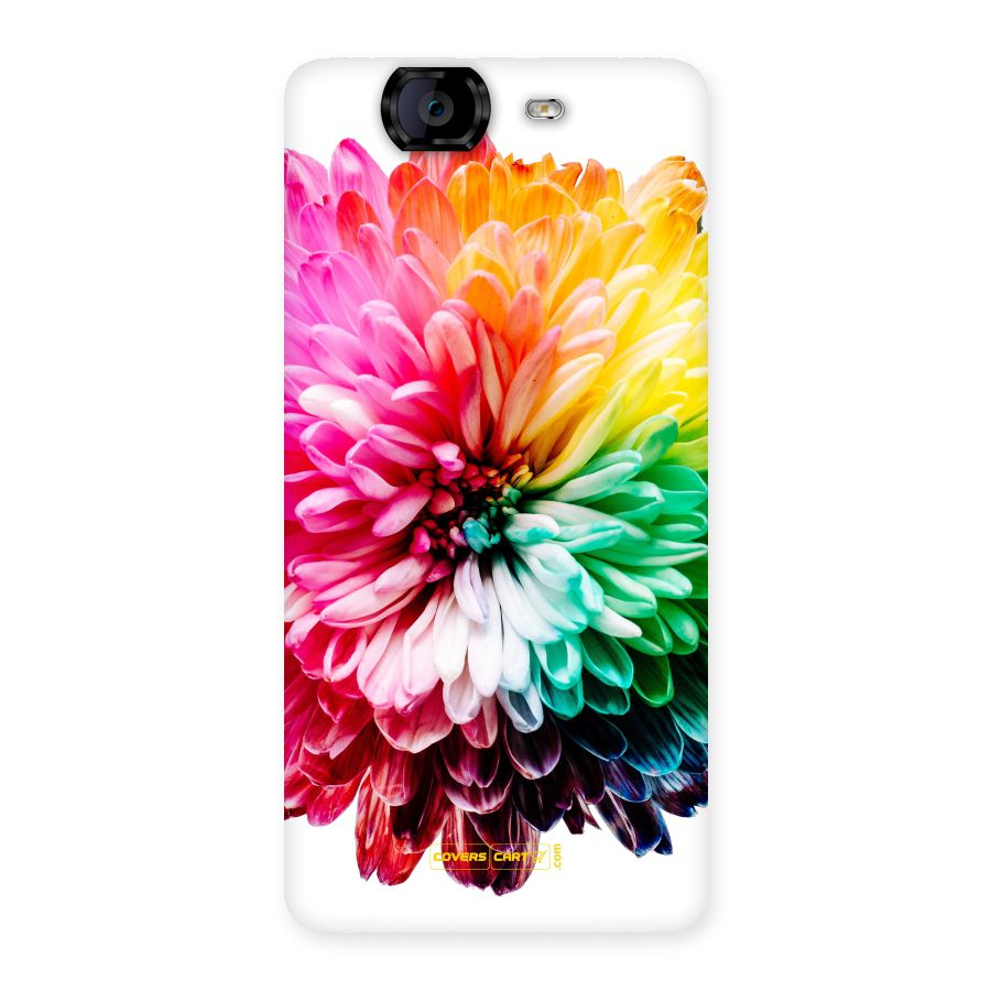 Colorful Flower Back Case for Canvas Knight A350