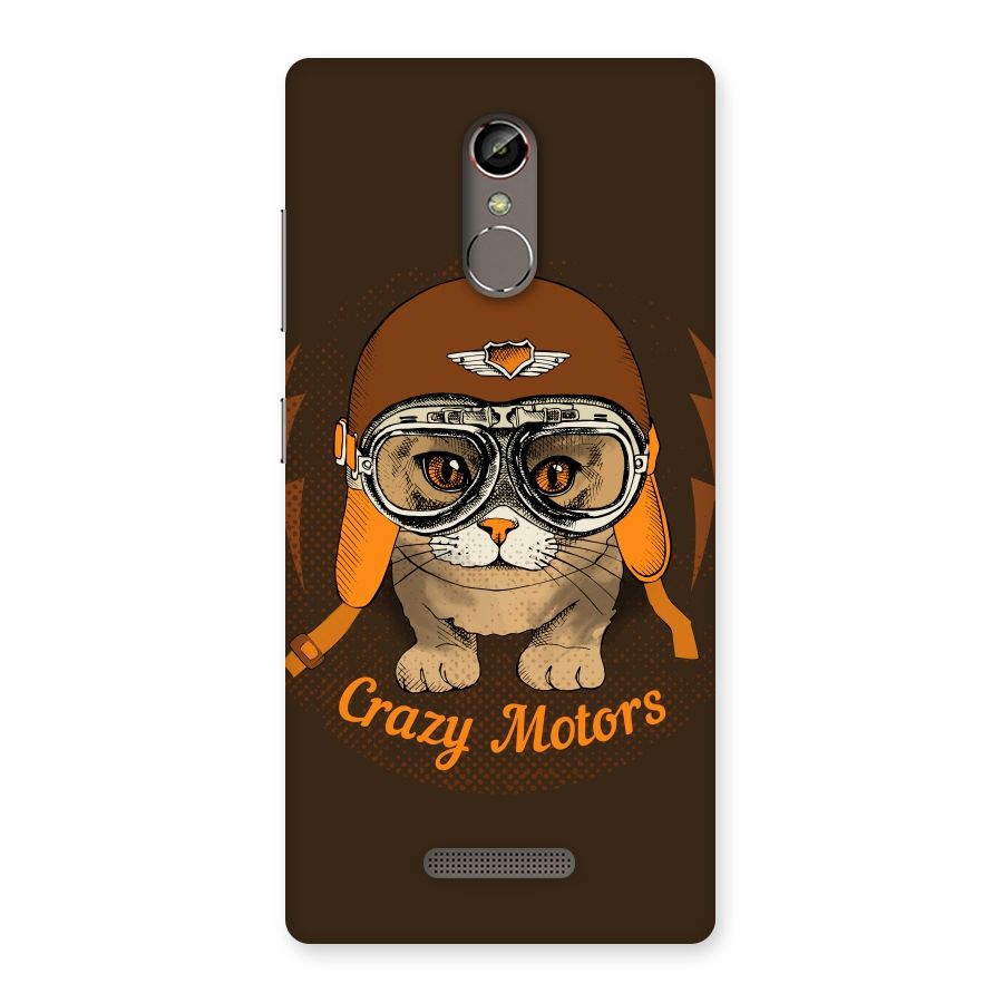 Crazy cat Back Case for Gionee S6s