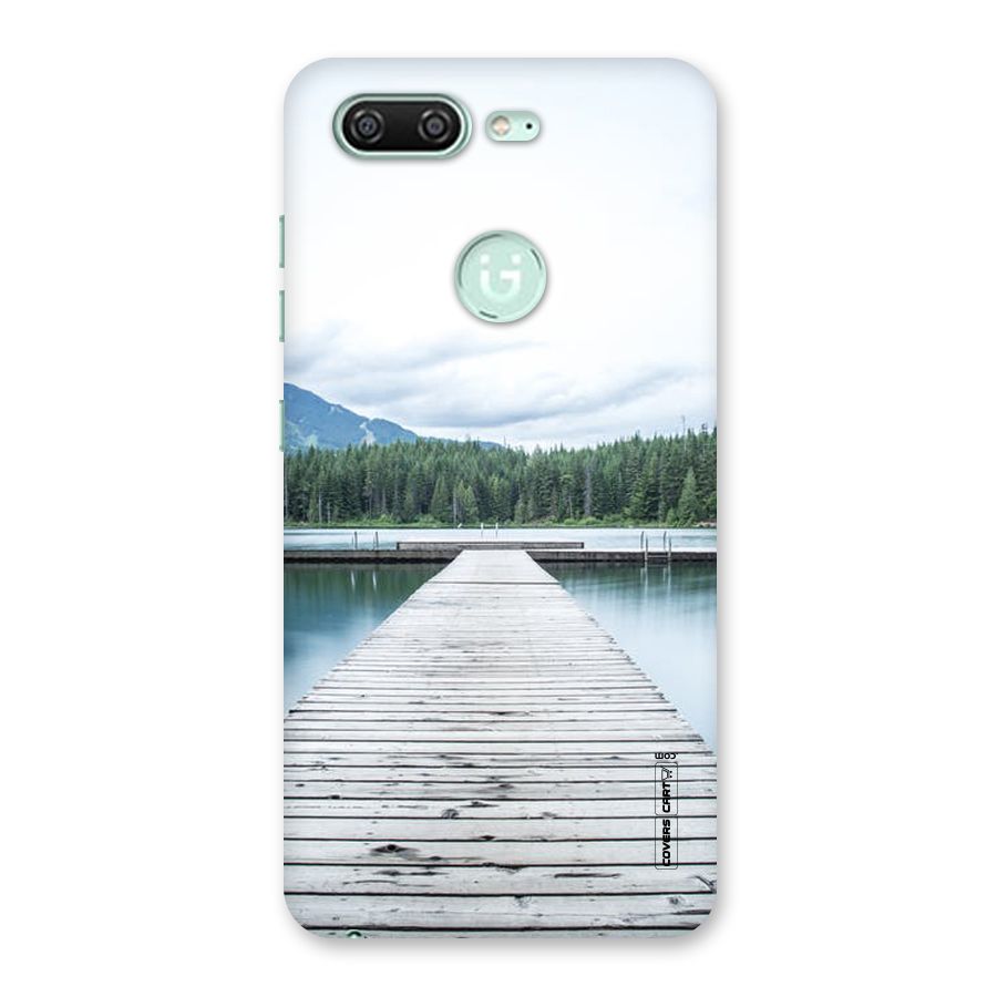 Dock River Back Case for Gionee S10