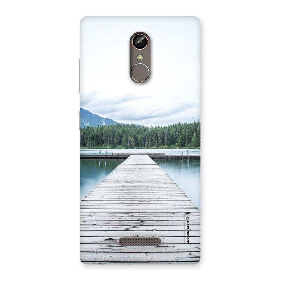 Dock River Back Case for Gionee S6s
