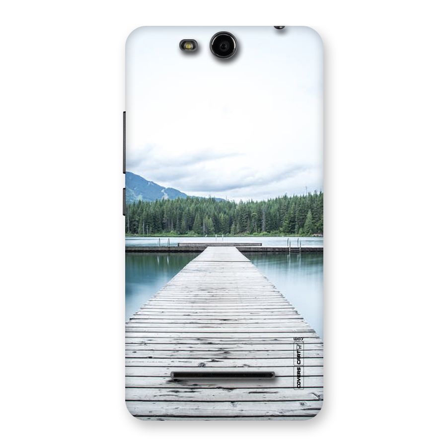 Dock River Back Case for Micromax Canvas Juice 3 Q392