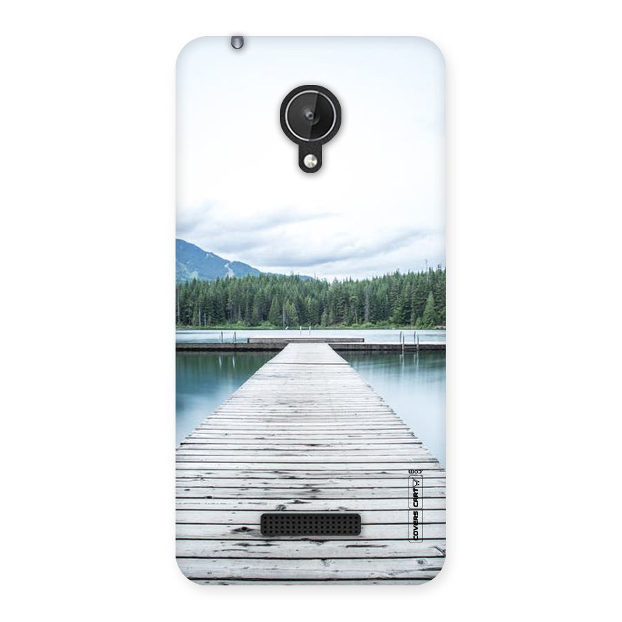 Dock River Back Case for Micromax Canvas Spark Q380