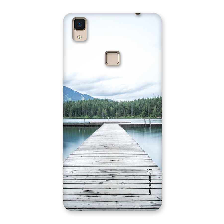 Dock River Back Case for V3 Max