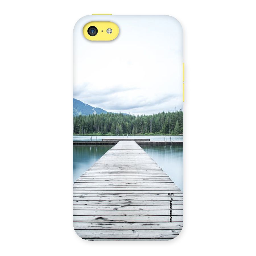 Dock River Back Case for iPhone 5C