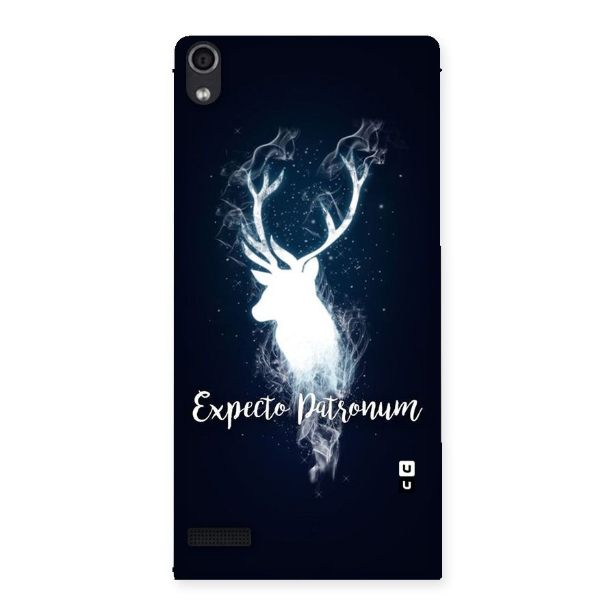 Expected Wish Back Case for Ascend P6