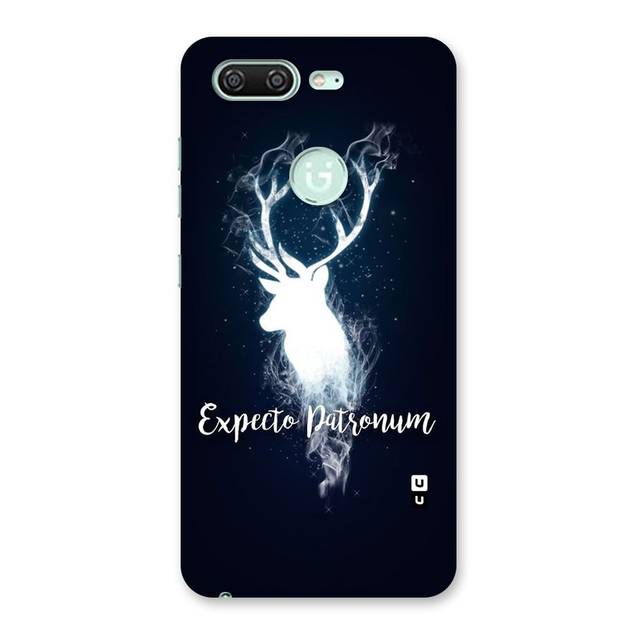 Expected Wish Back Case for Gionee S10