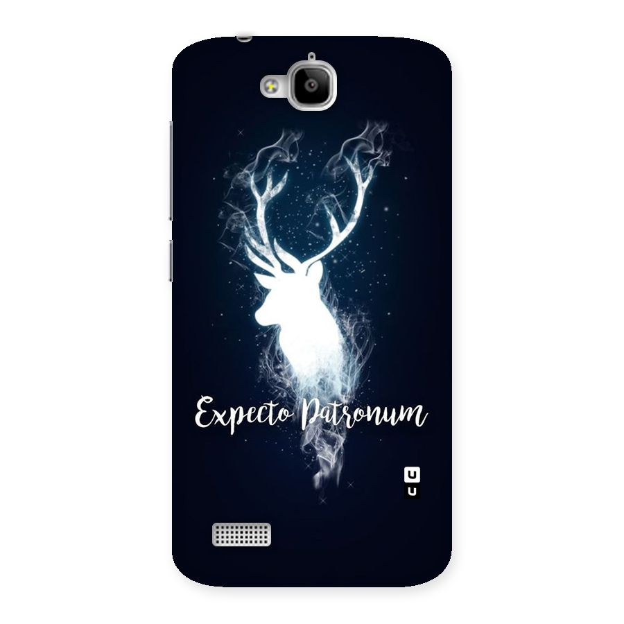 Expected Wish Back Case for Honor Holly