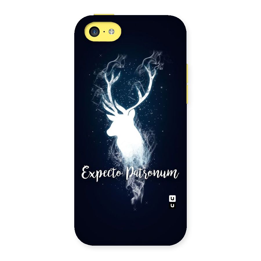 Expected Wish Back Case for iPhone 5C