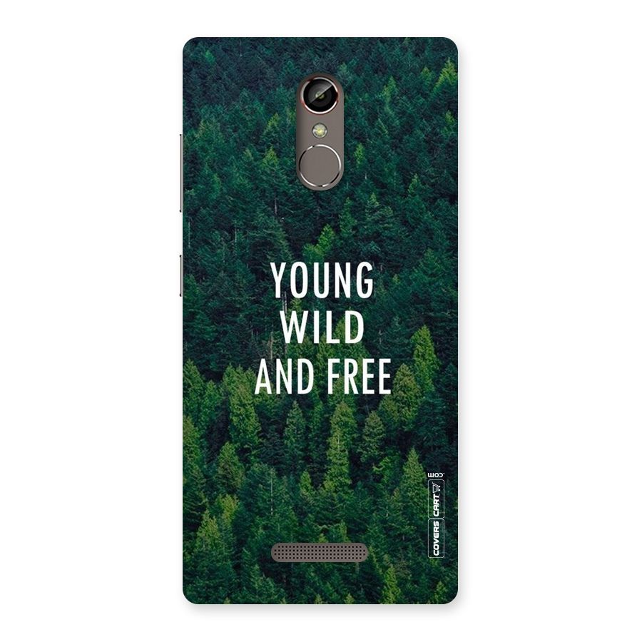 Forest Wanderlust Back Case for Gionee S6s