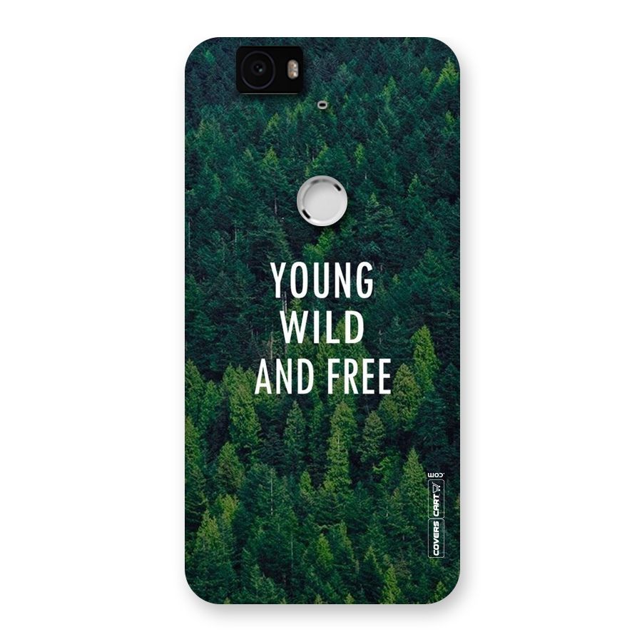 Forest Wanderlust Back Case for Google Nexus-6P