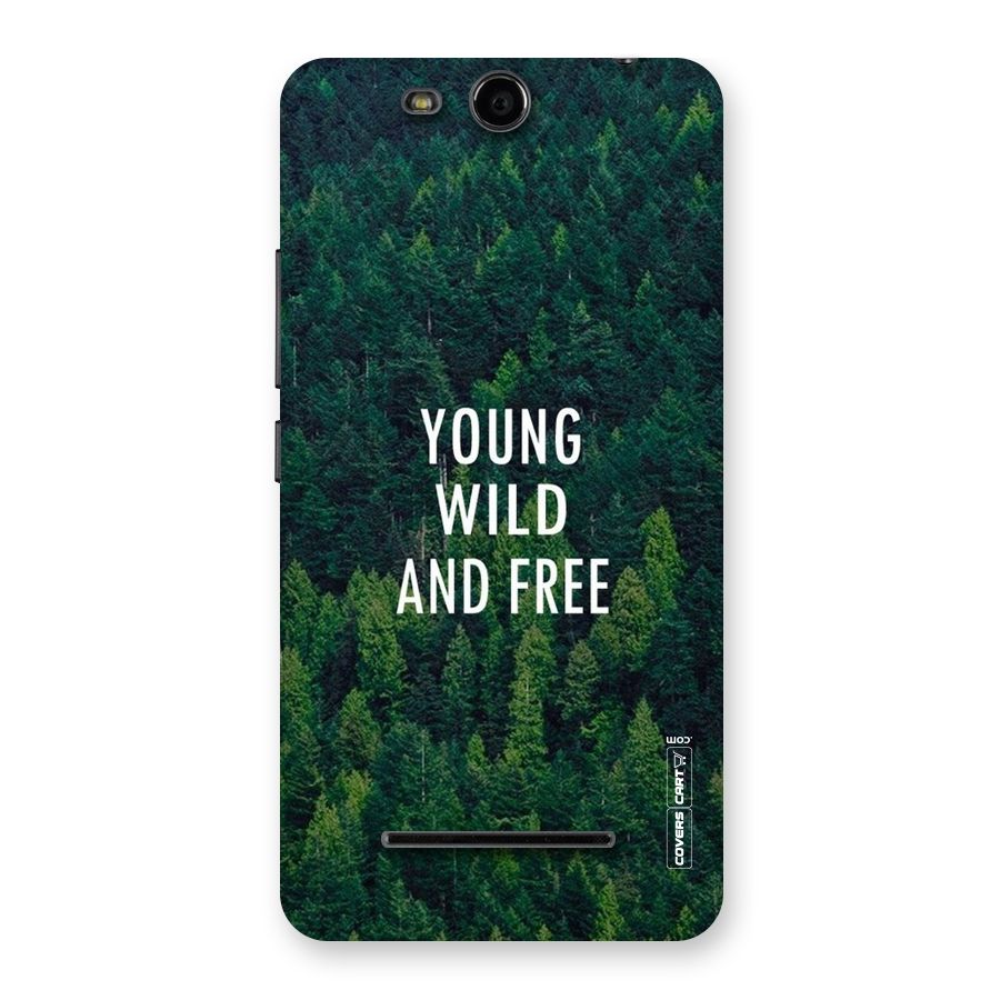 Forest Wanderlust Back Case for Micromax Canvas Juice 3 Q392