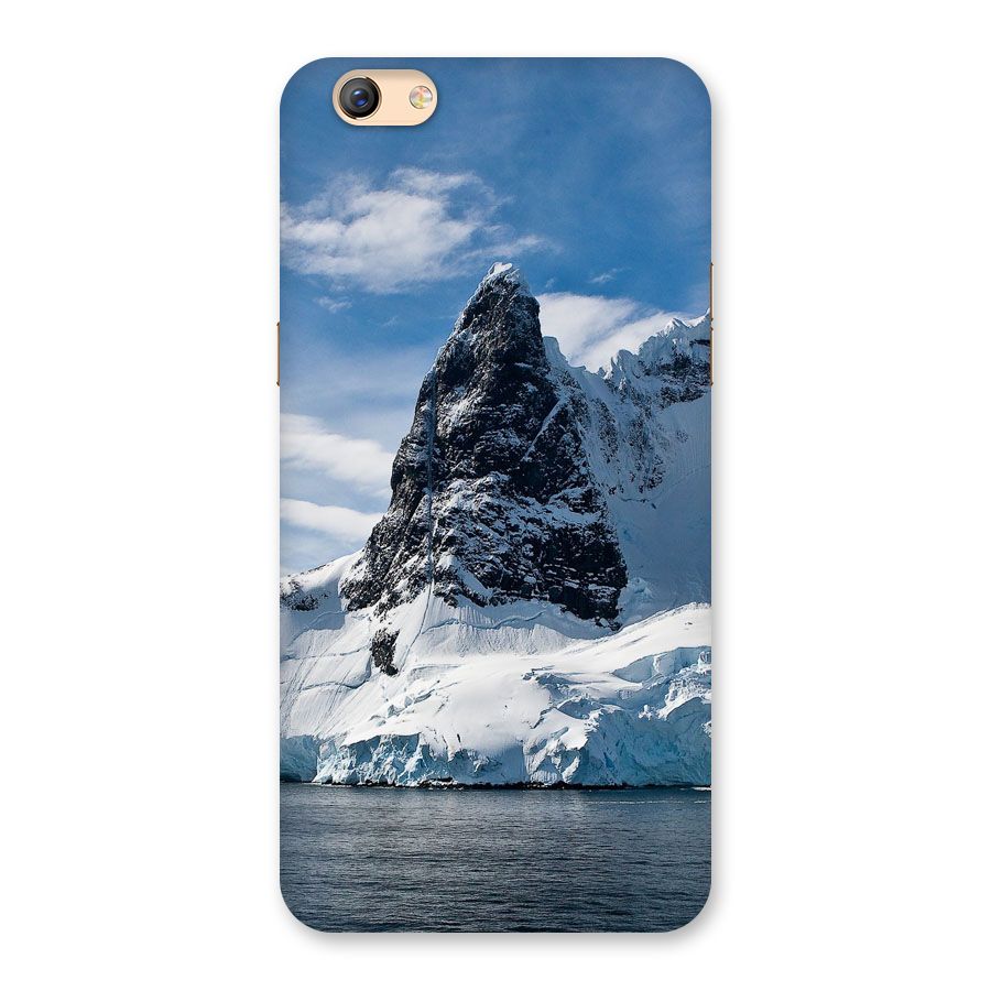 Ice Mountains Back Case for Oppo F3 Plus