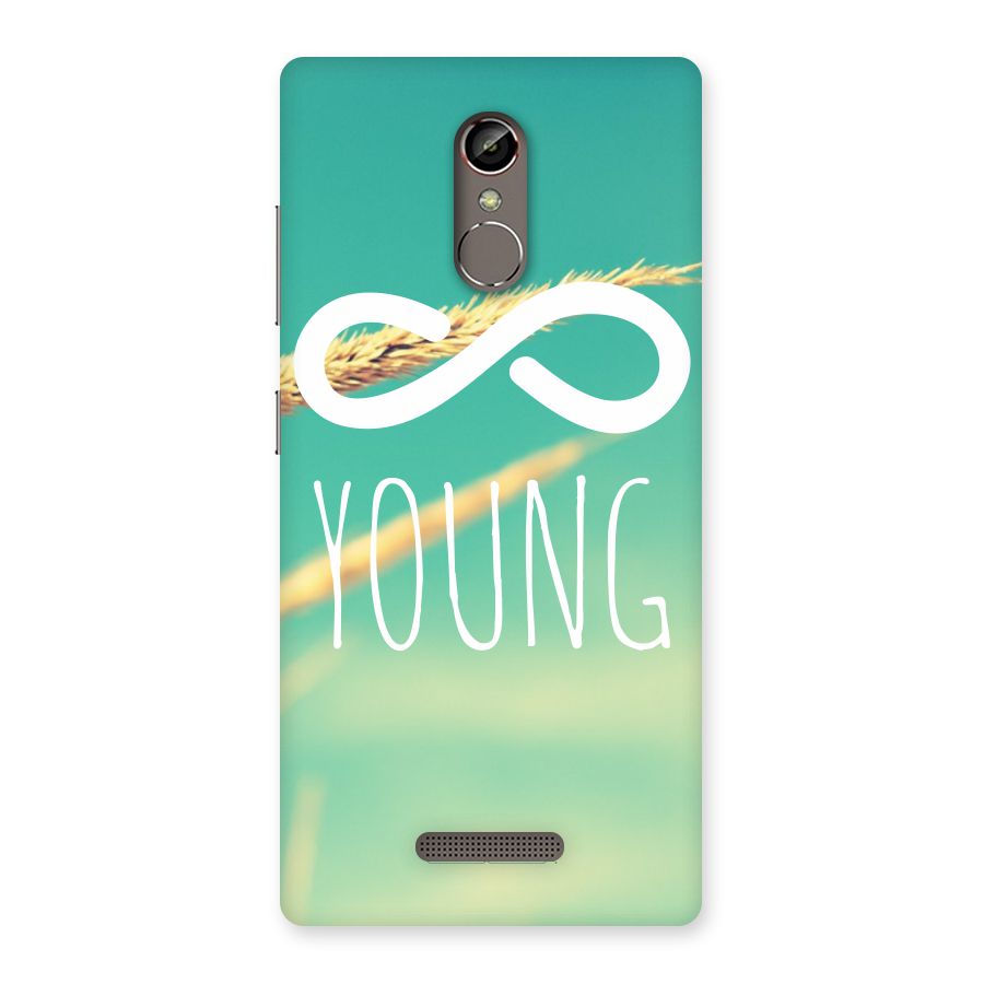 Infinity Young Back Case for Gionee S6s