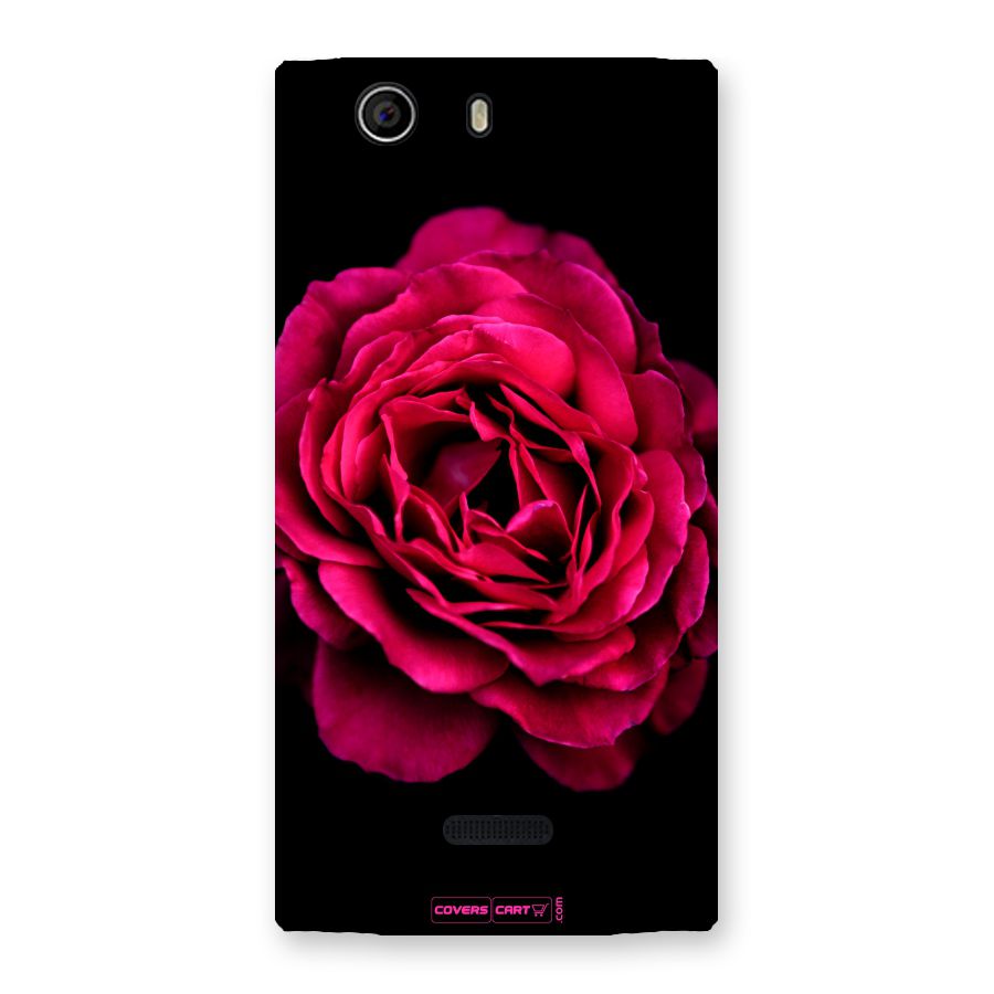 Magical Rose Back Case for Canvas Nitro 2 E311