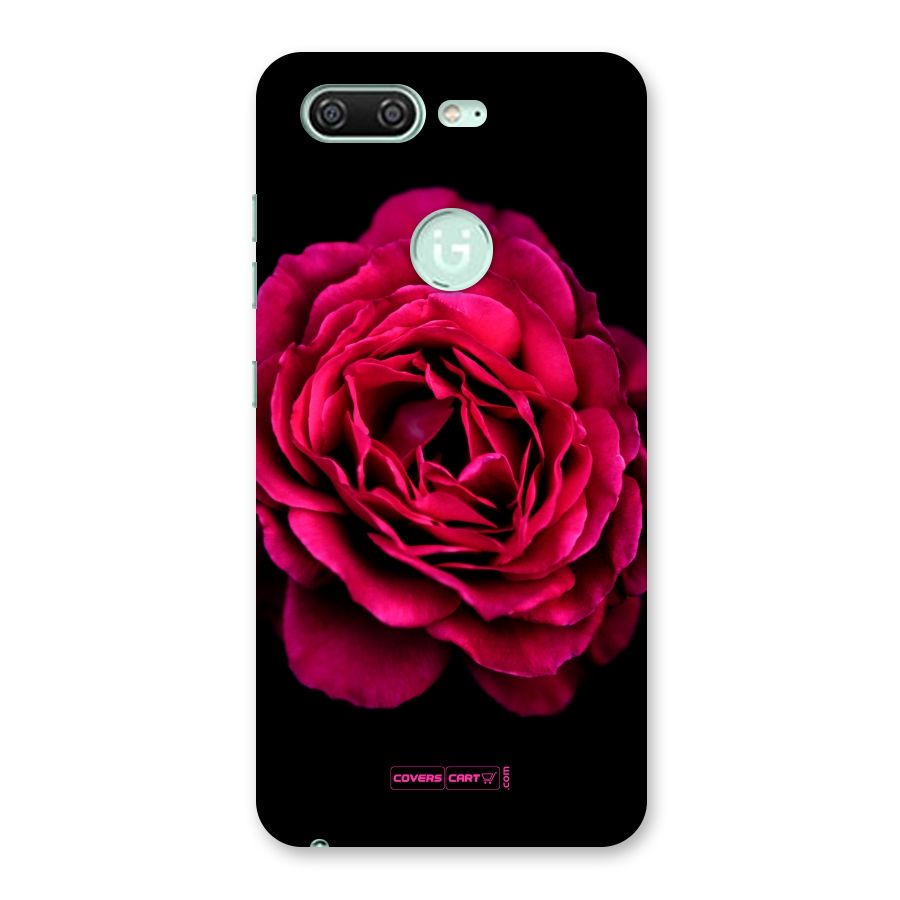 Magical Rose Back Case for Gionee S10