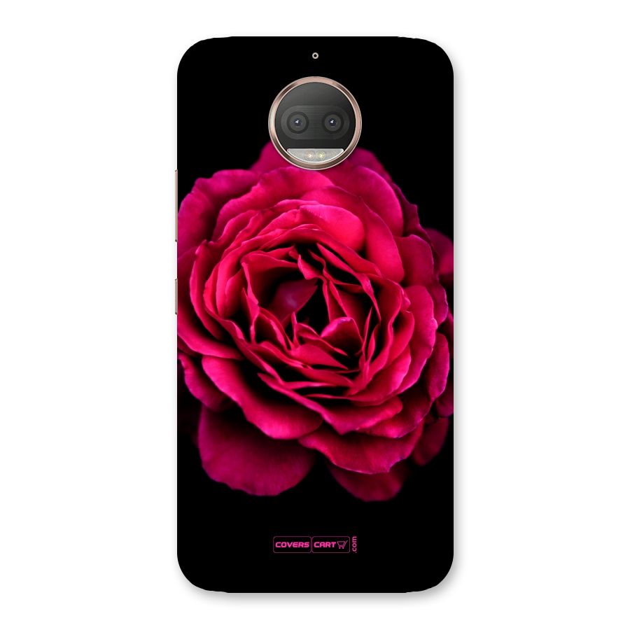 Magical Rose Back Case for Moto G5s Plus
