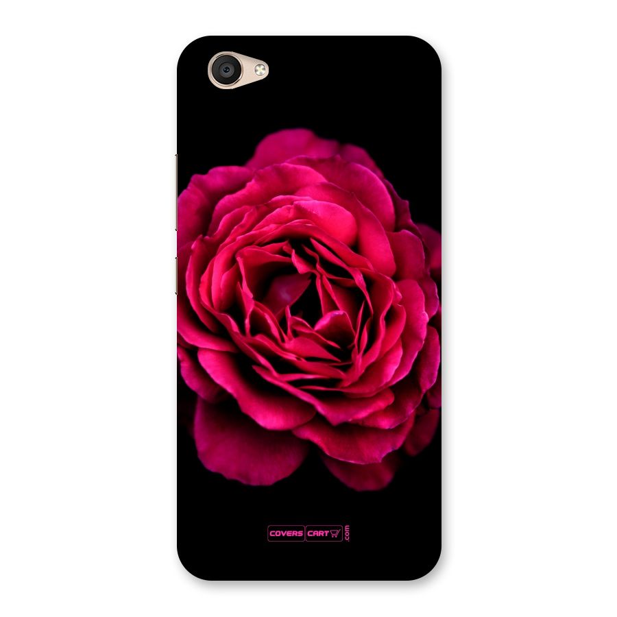 Magical Rose Back Case for Vivo V5 Plus