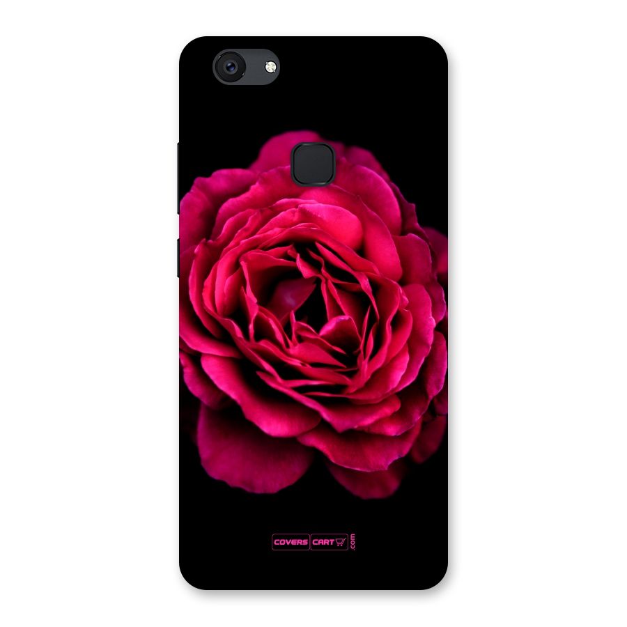 Magical Rose Back Case for Vivo V7 Plus
