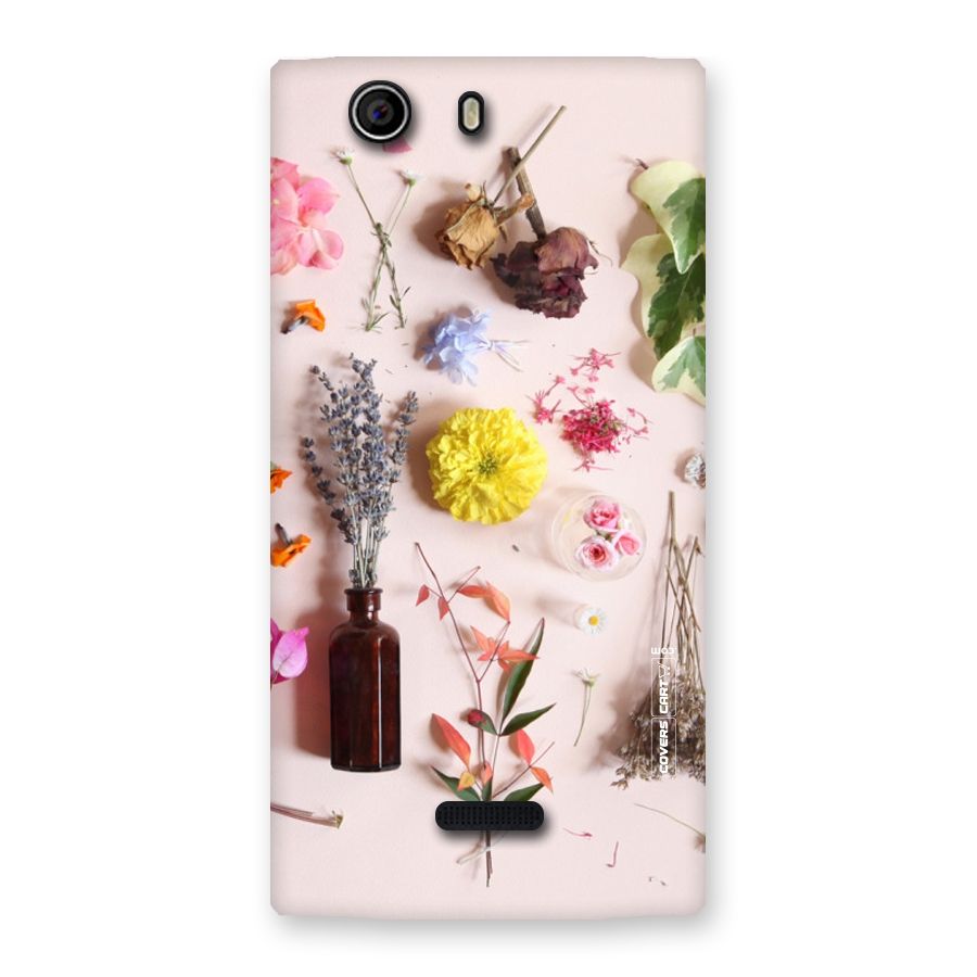 Old Petals Back Case for Canvas Nitro 2 E311