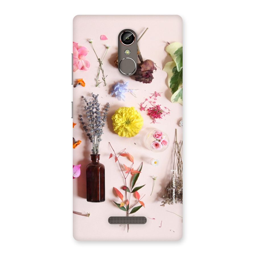 Old Petals Back Case for Gionee S6s