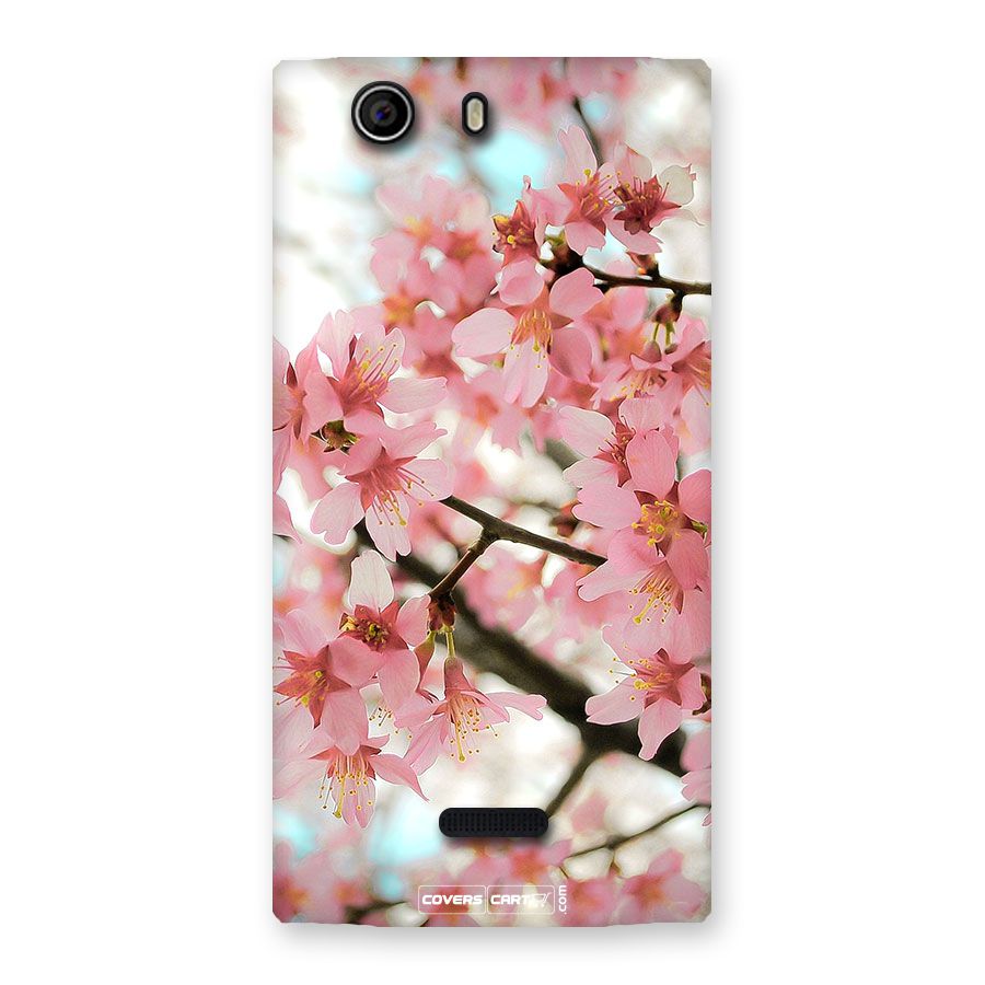Peach Floral Back Case for Canvas Nitro 2