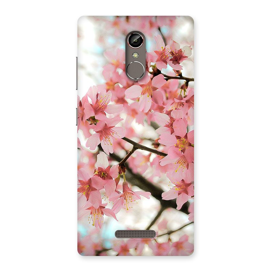 Peach Floral Back Case for Gionee S6s