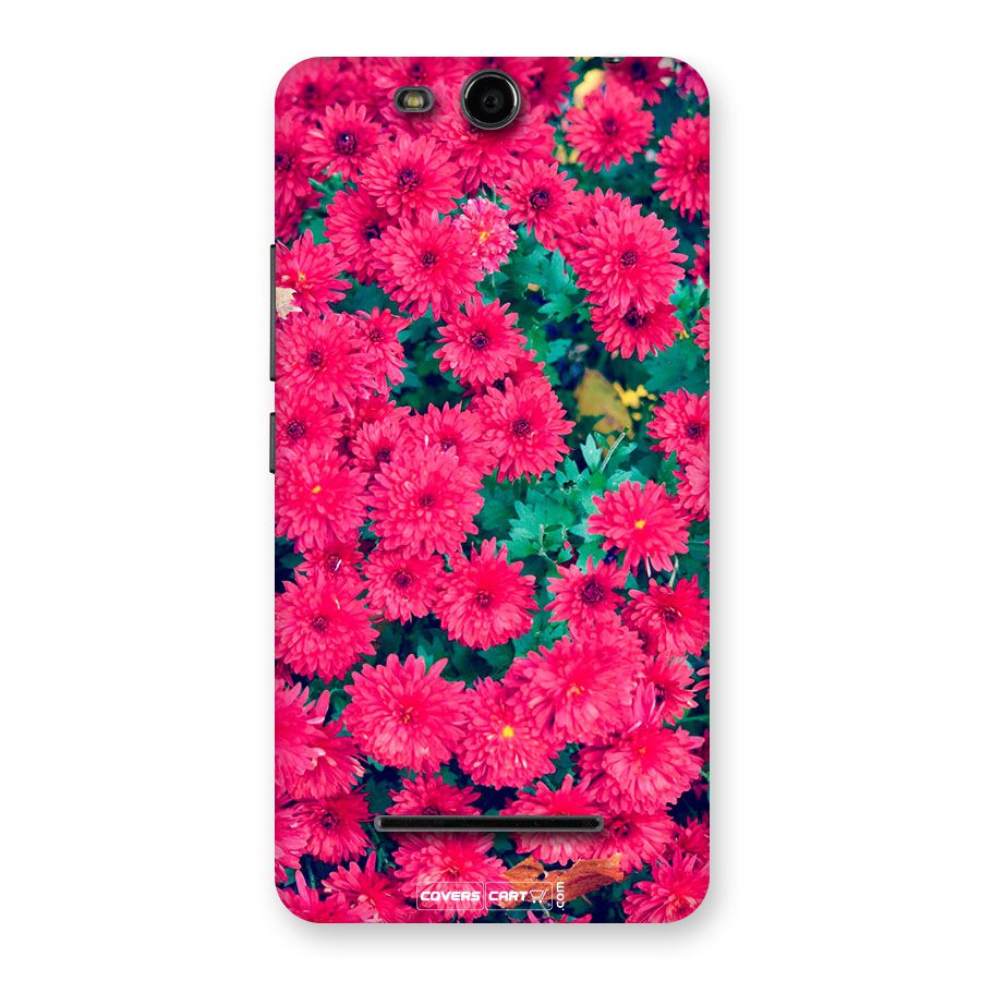 Pink Flowers Back Case for Canvas Juice 3