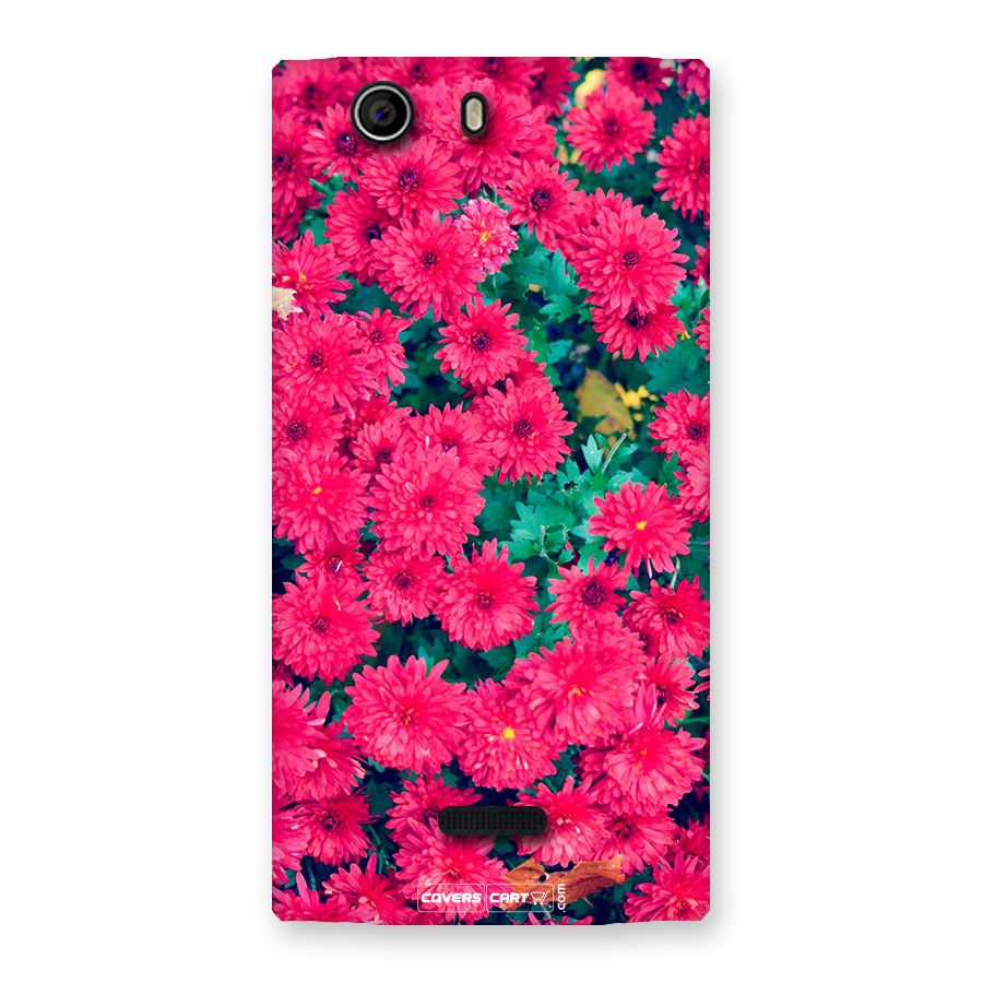 Pink Flowers Back Case for Canvas Nitro 2