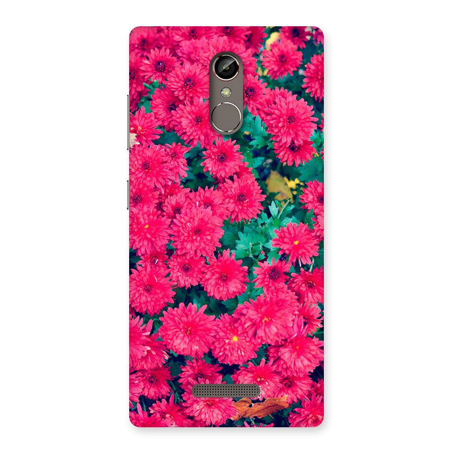 Pink Flowers Back Case for Gionee S6s