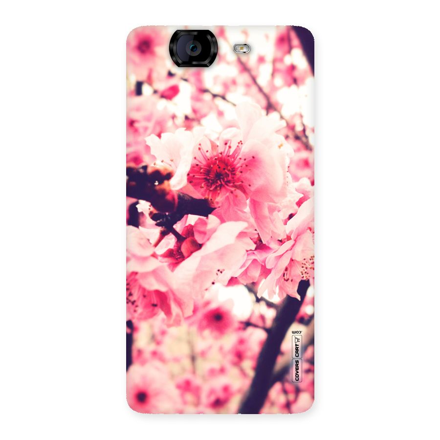 Pretty Pink Flowers Back Case for Canvas Knight A350