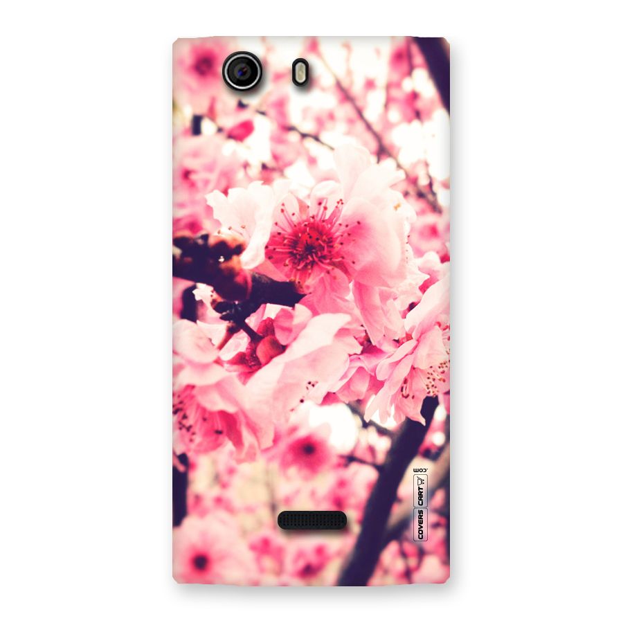 Pretty Pink Flowers Back Case for Canvas Nitro 2 E311