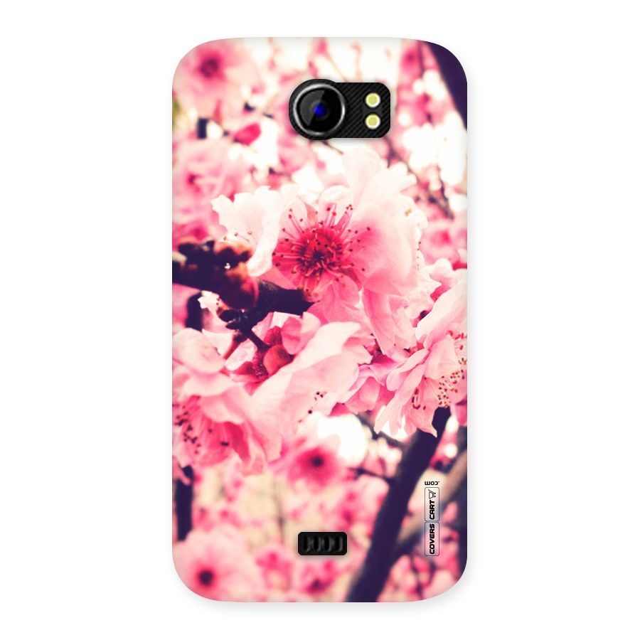 Pretty Pink Flowers Back Case for Micromax Canvas 2 A110