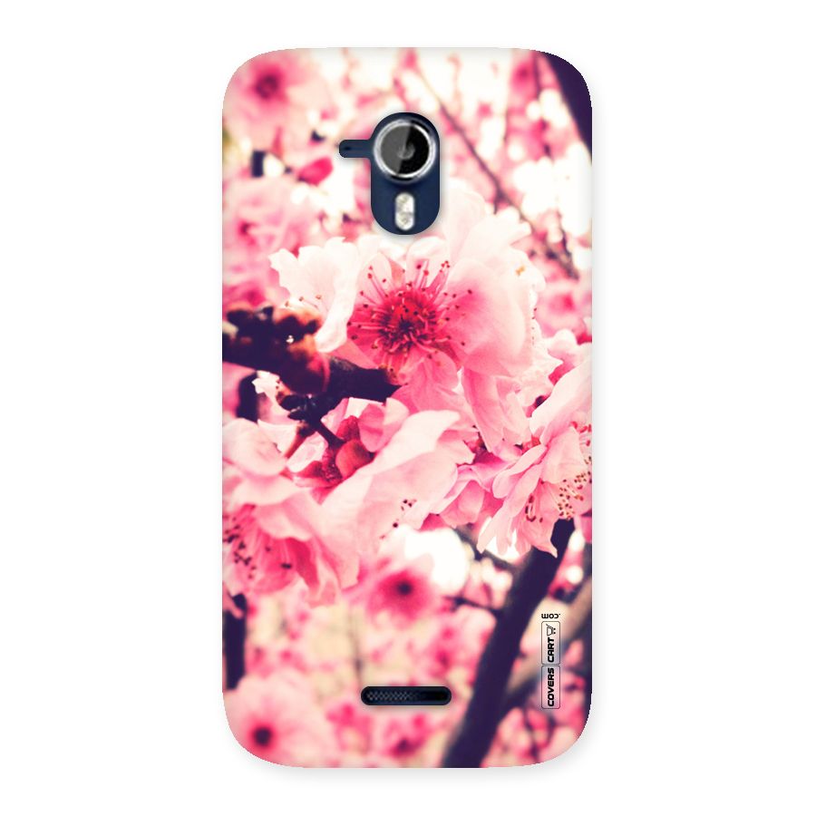 Pretty Pink Flowers Back Case for Micromax Canvas Magnus A117