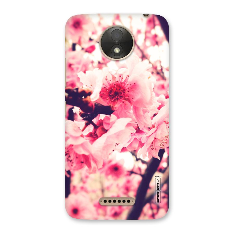 Pretty Pink Flowers Back Case for Moto C Plus