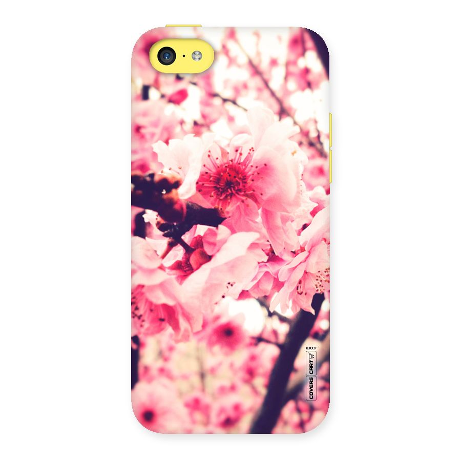 Pretty Pink Flowers Back Case for iPhone 5C