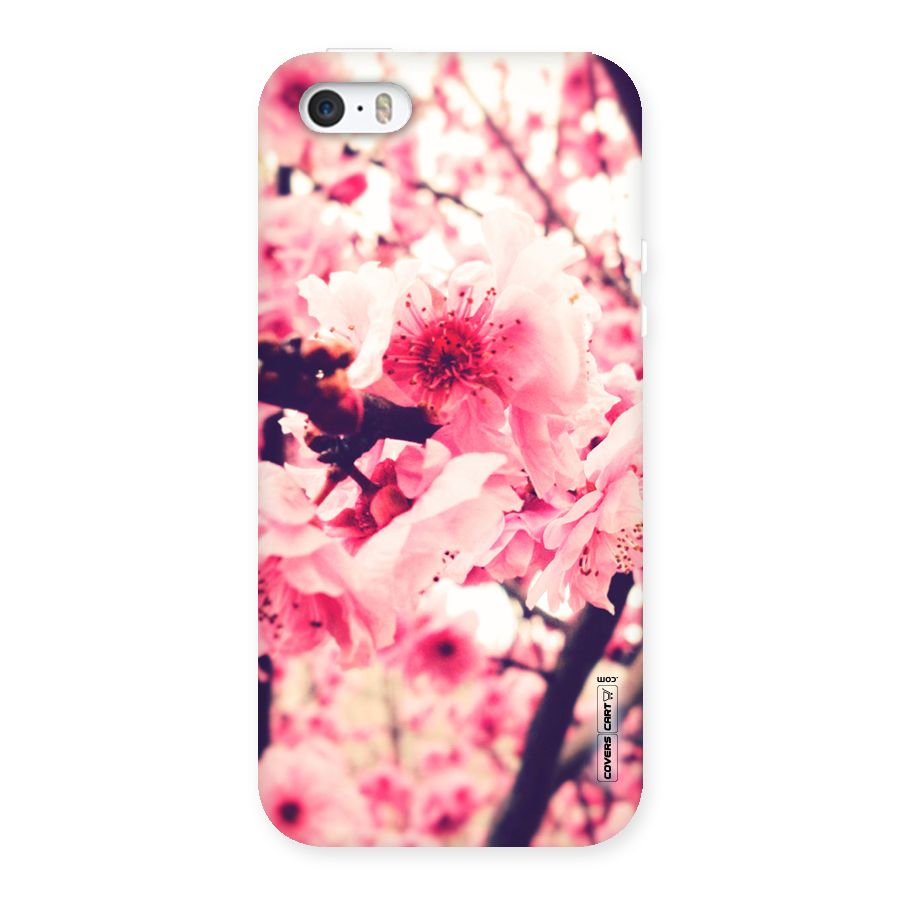 Pretty Pink Flowers Back Case for iPhone 5 5S