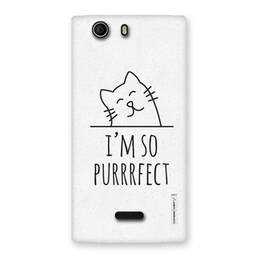 So Purrfect Back Case for Canvas Nitro 2 E311