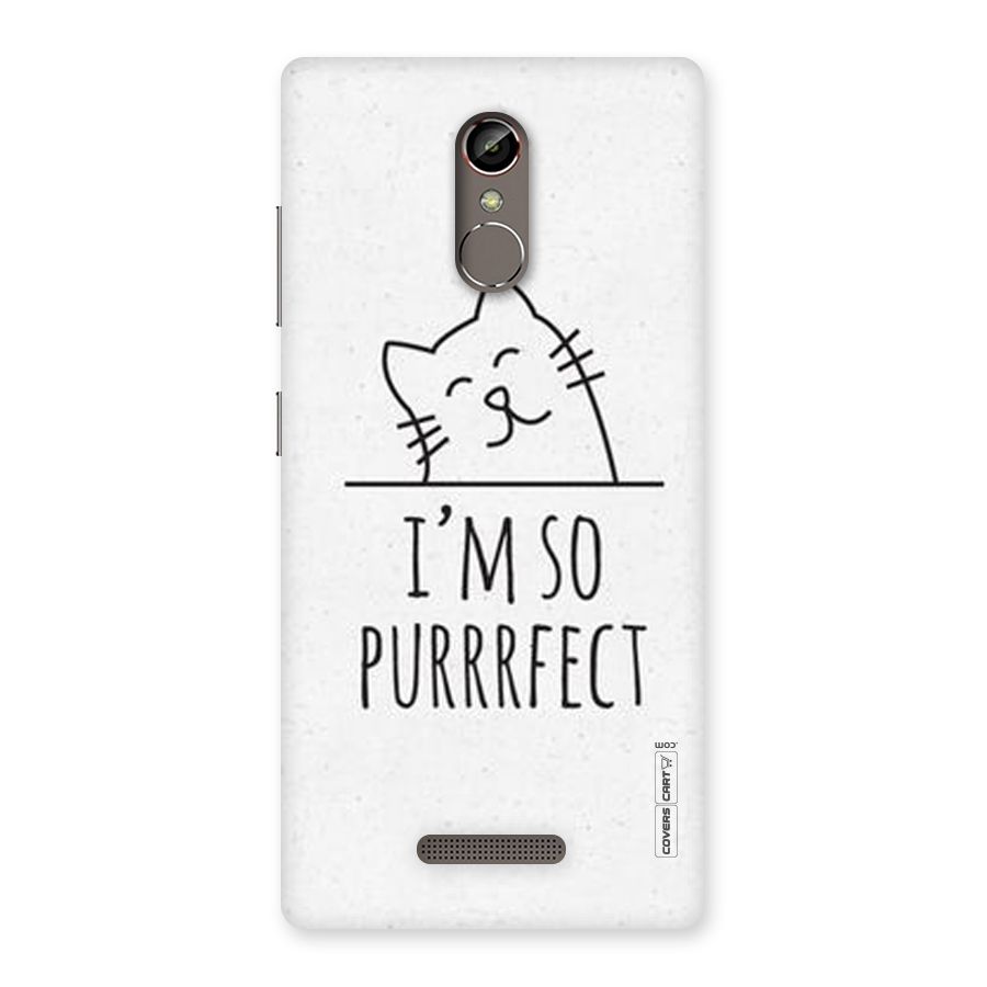 So Purrfect Back Case for Gionee S6s