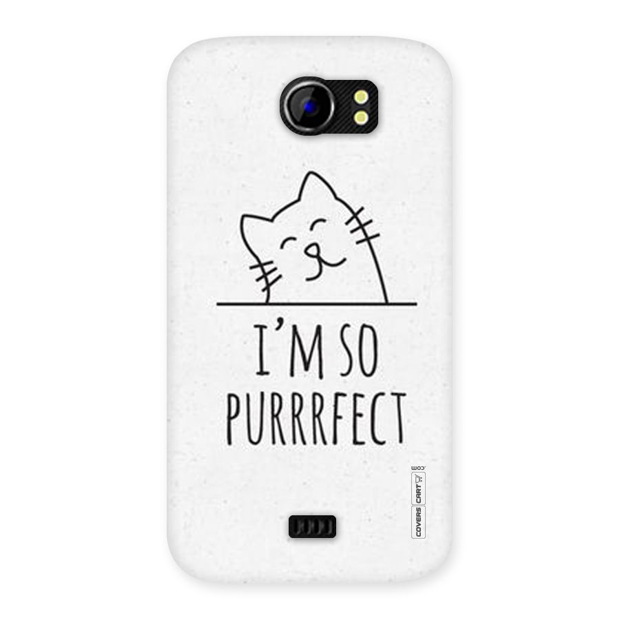 So Purrfect Back Case for Micromax Canvas 2 A110