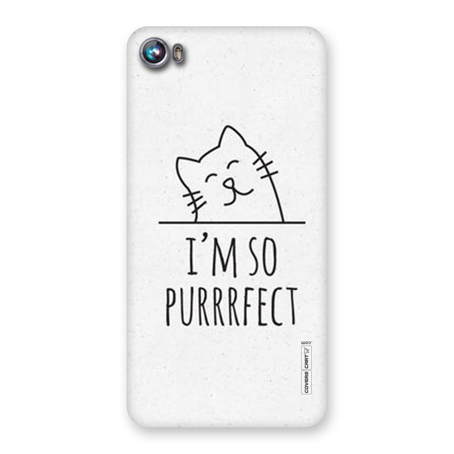 So Purrfect Back Case for Micromax Canvas Fire 4 A107